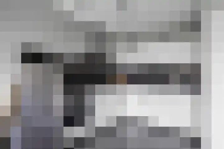 Tsjamkedykje 8 18 Balk thumbnail 15