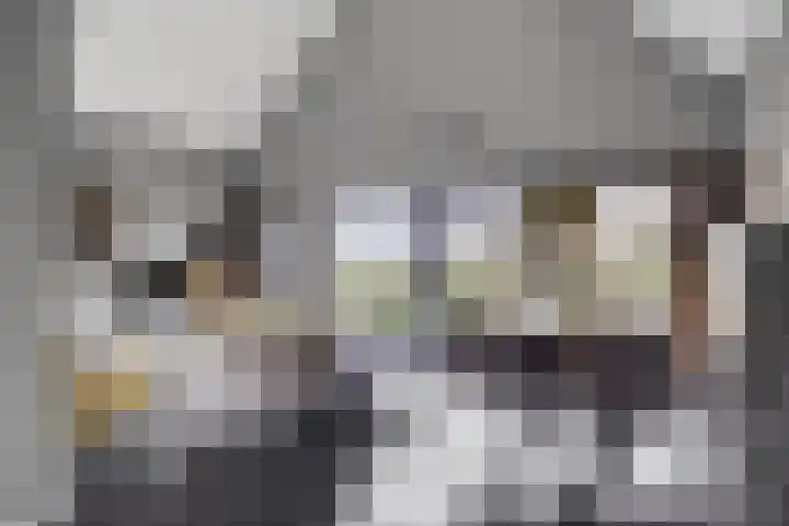 Tsjamkedykje 8 18 Balk thumbnail 16