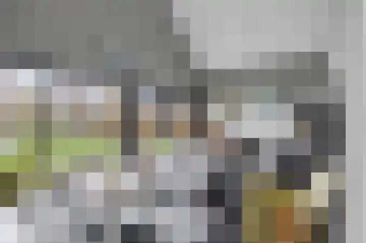 Tsjamkedykje 8 18 Balk thumbnail 17