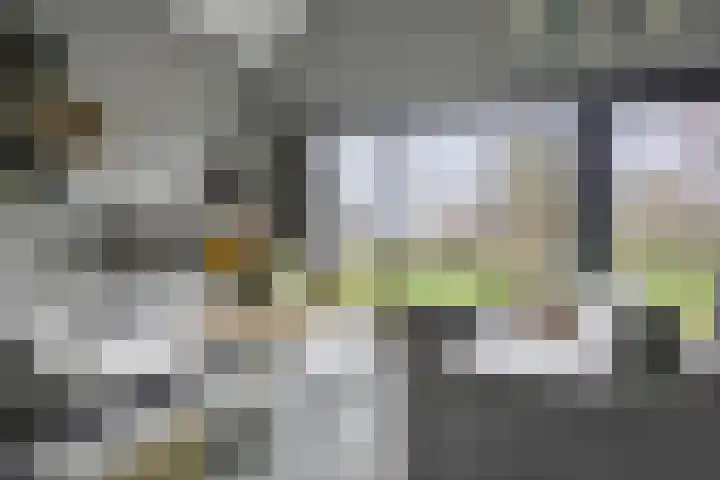 Tsjamkedykje 8 18 Balk thumbnail 19