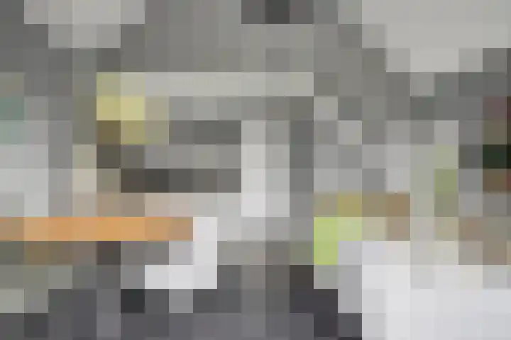 Tsjamkedykje 8 18 Balk thumbnail 20