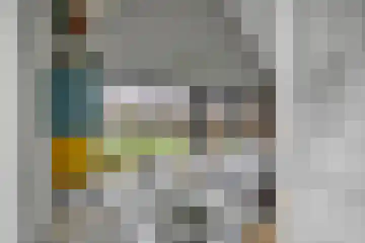 Tsjamkedykje 8 18 Balk thumbnail 21