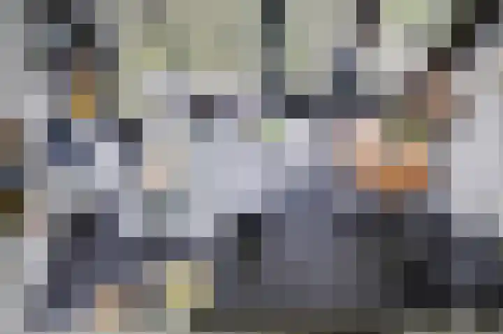 Tsjamkedykje 8 18 Balk thumbnail 22