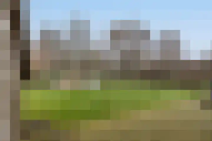 Tsjamkedykje 8 18 Balk thumbnail 27