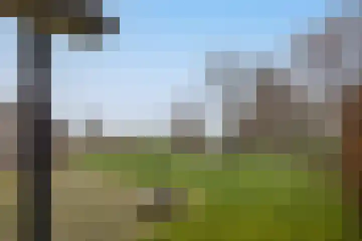 Tsjamkedykje 8 18 Balk thumbnail 28