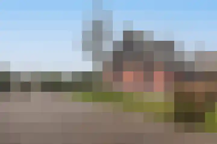 Tsjamkedykje 8 18 Balk thumbnail 4