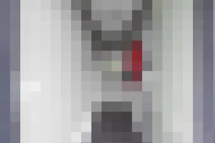 Tsjamkedykje 8 18 Balk thumbnail 7