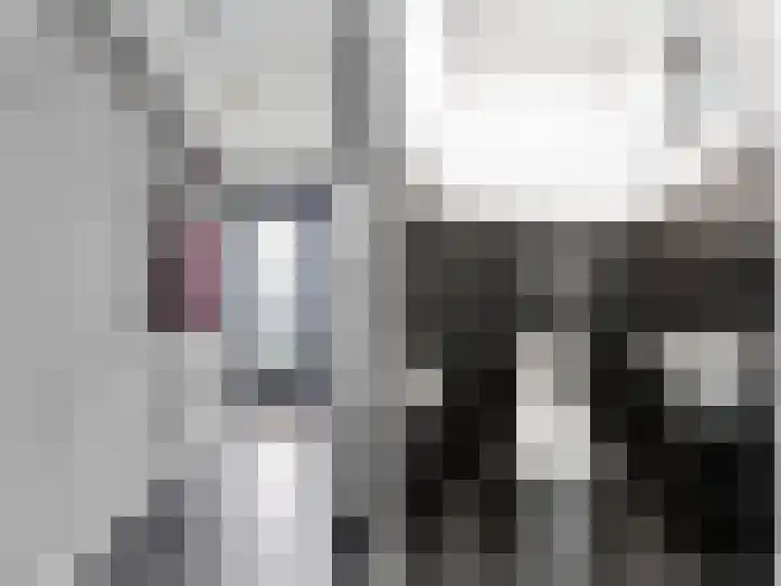 Tsjamkedykje 8 18 Balk thumbnail 8
