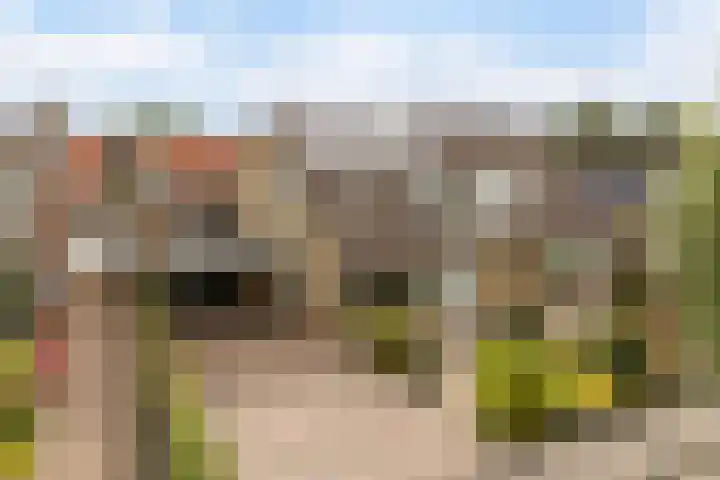 Tsjebbe Claeszstrjitte 17 Scharnegoutum