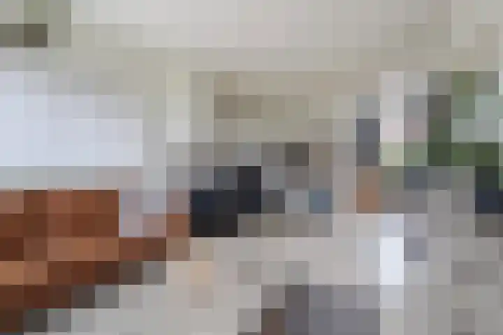 Tsjebbe Claeszstrjitte 17 Scharnegoutum thumbnail 11