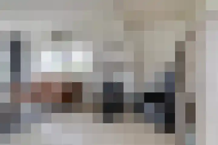 Tsjebbe Claeszstrjitte 17 Scharnegoutum thumbnail 12