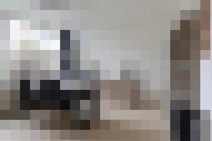 Tsjebbe Claeszstrjitte 17 Scharnegoutum thumbnail 13