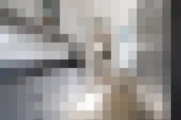 Tsjebbe Claeszstrjitte 17 Scharnegoutum thumbnail 17