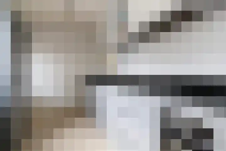 Tsjebbe Claeszstrjitte 17 Scharnegoutum thumbnail 19