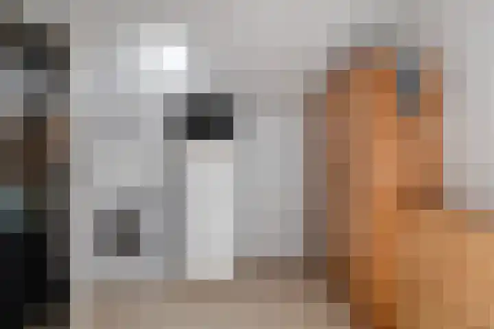 Tsjebbe Claeszstrjitte 17 Scharnegoutum thumbnail 22