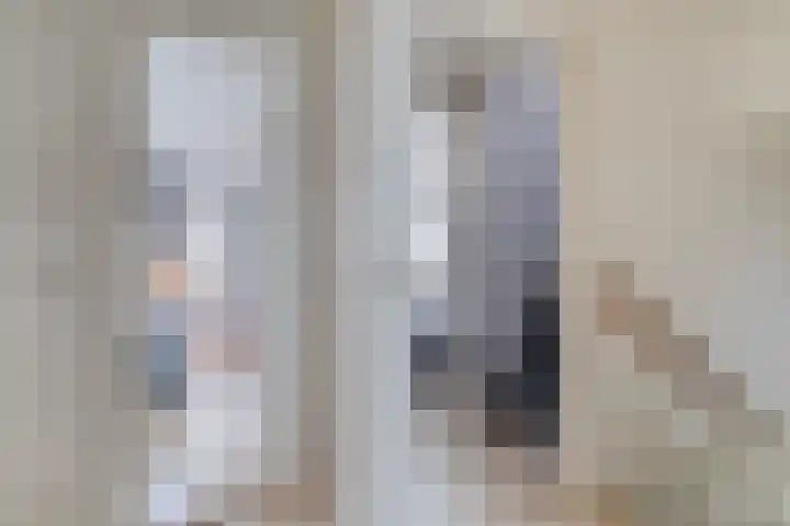 Tsjebbe Claeszstrjitte 17 Scharnegoutum thumbnail 24