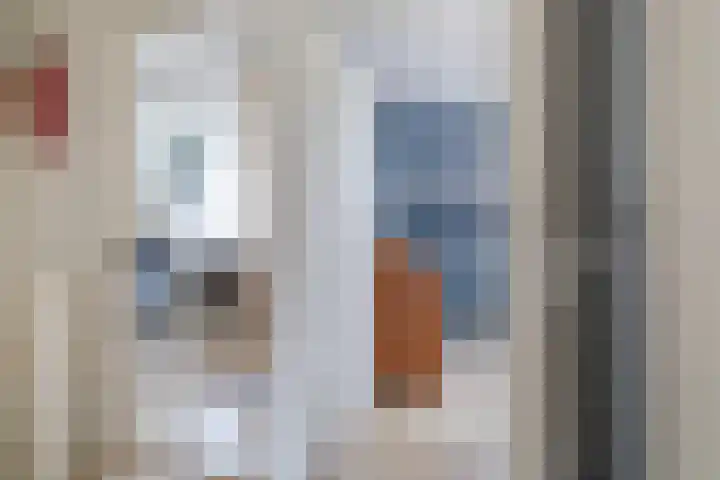 Tsjebbe Claeszstrjitte 17 Scharnegoutum thumbnail 25