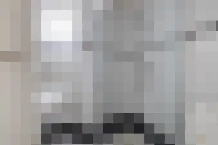 Tsjebbe Claeszstrjitte 17 Scharnegoutum thumbnail 28