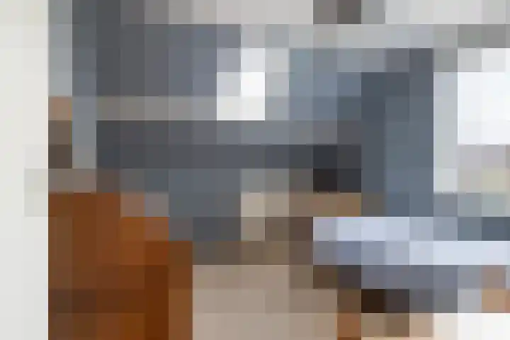 Tsjebbe Claeszstrjitte 17 Scharnegoutum thumbnail 32