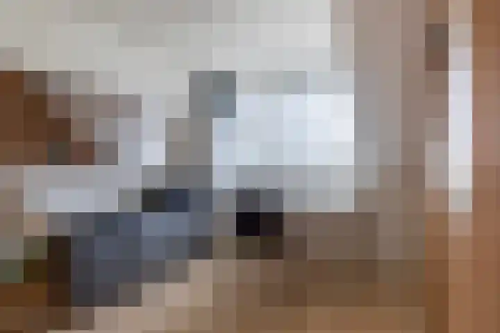 Tsjebbe Claeszstrjitte 17 Scharnegoutum thumbnail 34
