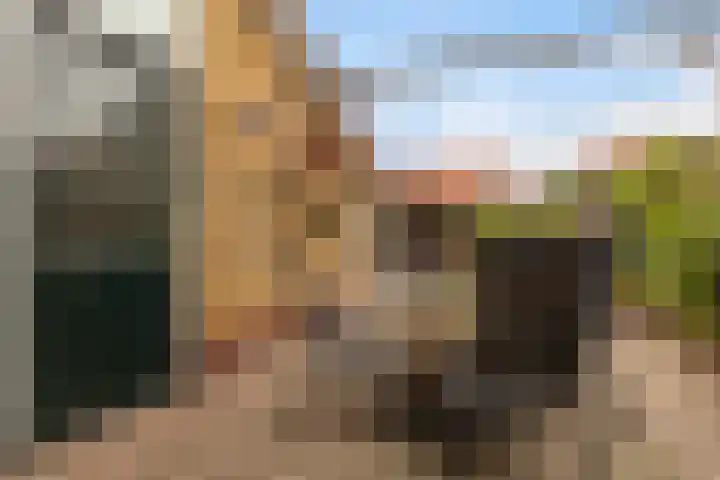 Tsjebbe Claeszstrjitte 17 Scharnegoutum thumbnail 40