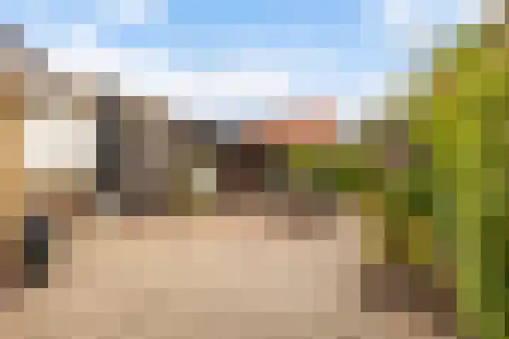 Tsjebbe Claeszstrjitte 17 Scharnegoutum thumbnail 41