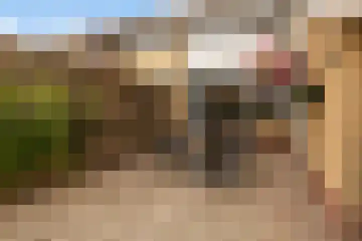 Tsjebbe Claeszstrjitte 17 Scharnegoutum thumbnail 42