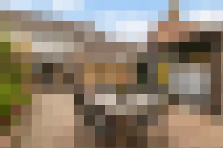 Tsjebbe Claeszstrjitte 17 Scharnegoutum thumbnail 43