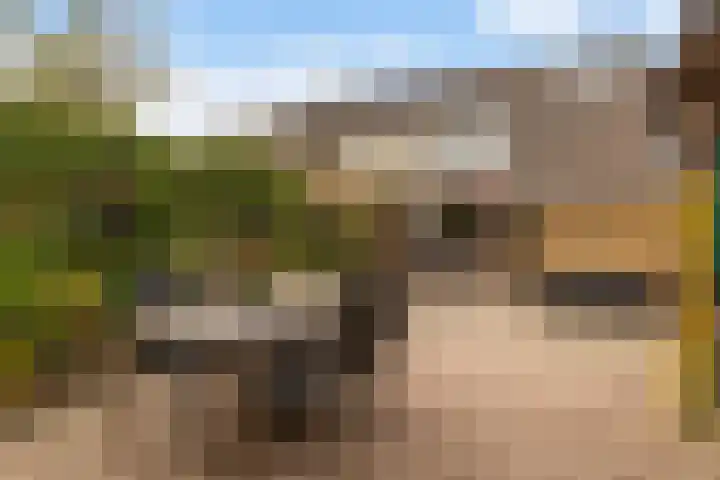 Tsjebbe Claeszstrjitte 17 Scharnegoutum thumbnail 44