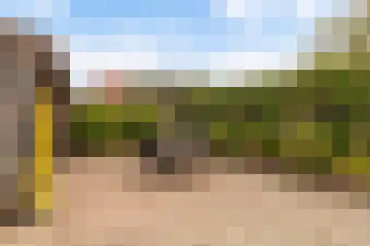 Tsjebbe Claeszstrjitte 17 Scharnegoutum thumbnail 45