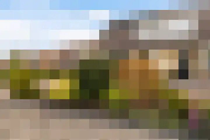 Tsjebbe Claeszstrjitte 17 Scharnegoutum thumbnail 48