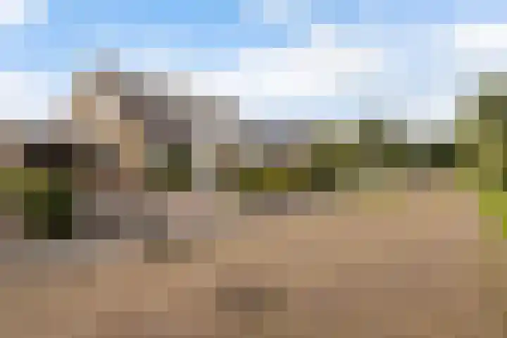 Tsjebbe Claeszstrjitte 17 Scharnegoutum thumbnail 50