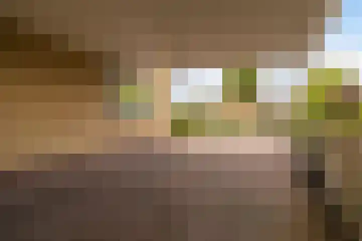 Tsjebbe Claeszstrjitte 17 Scharnegoutum thumbnail 52