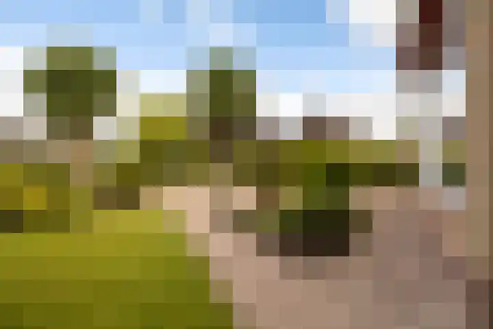 Tsjebbe Claeszstrjitte 17 Scharnegoutum thumbnail 54
