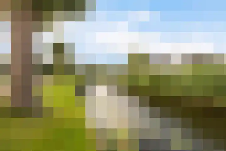 Tsjebbe Claeszstrjitte 17 Scharnegoutum thumbnail 55