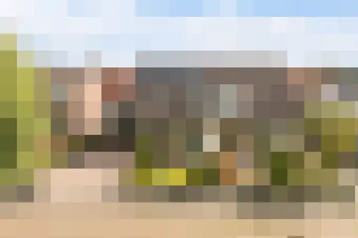 Tsjebbe Claeszstrjitte 17 Scharnegoutum thumbnail 56