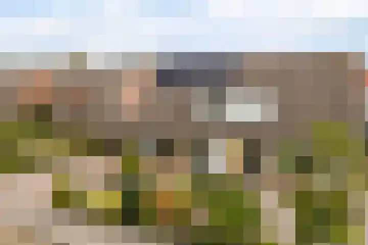 Tsjebbe Claeszstrjitte 17 Scharnegoutum thumbnail 57