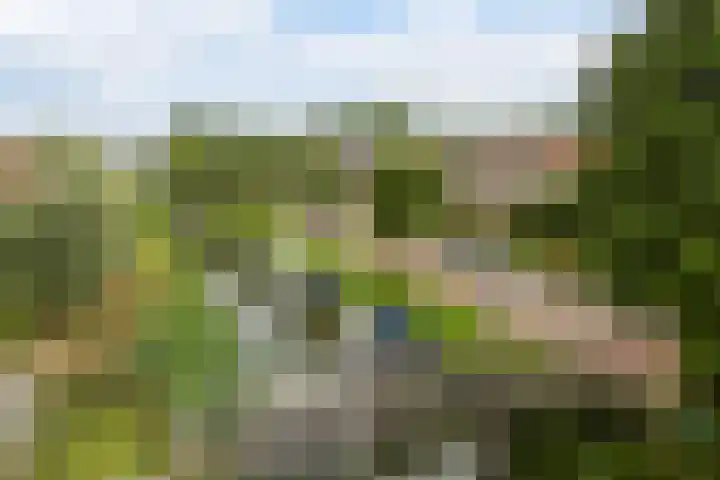 Tsjebbe Claeszstrjitte 17 Scharnegoutum thumbnail 58