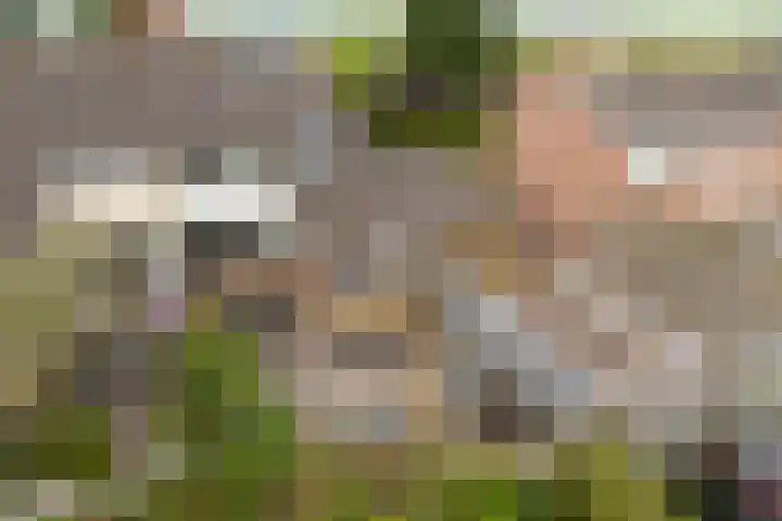 Tsjebbe Claeszstrjitte 17 Scharnegoutum thumbnail 59