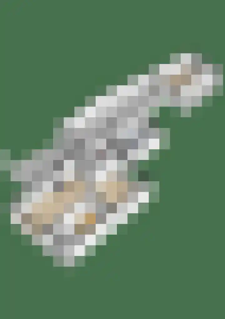 Tsjebbe Claeszstrjitte 17 Scharnegoutum thumbnail 63