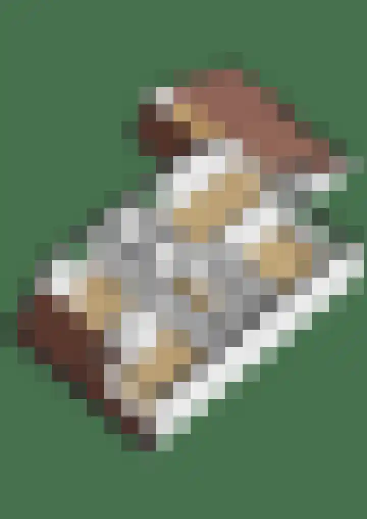 Tsjebbe Claeszstrjitte 17 Scharnegoutum thumbnail 64