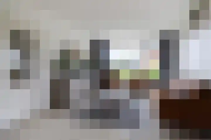 Tsjebbe Claeszstrjitte 17 Scharnegoutum thumbnail 9