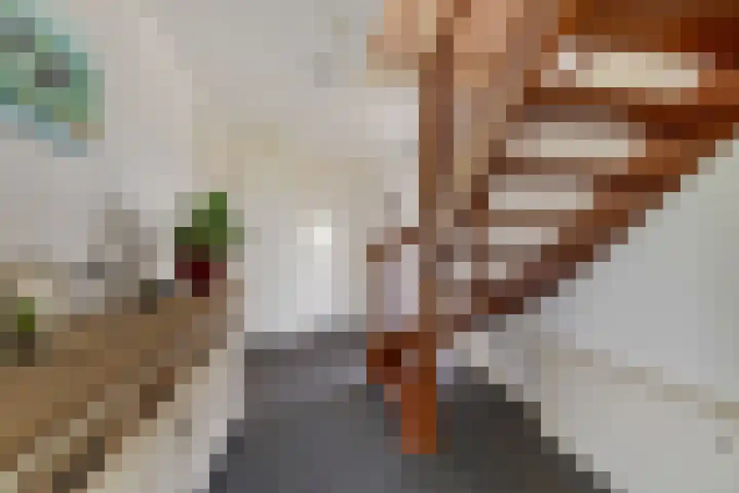 Tsjemlân 18 Gauw thumbnail 15