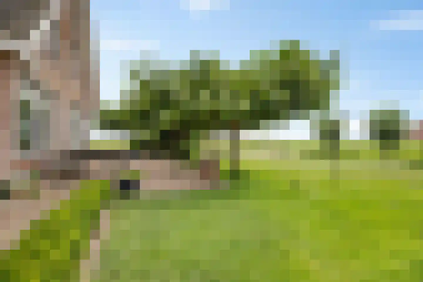 Tsjemlân 18 Gauw thumbnail 29