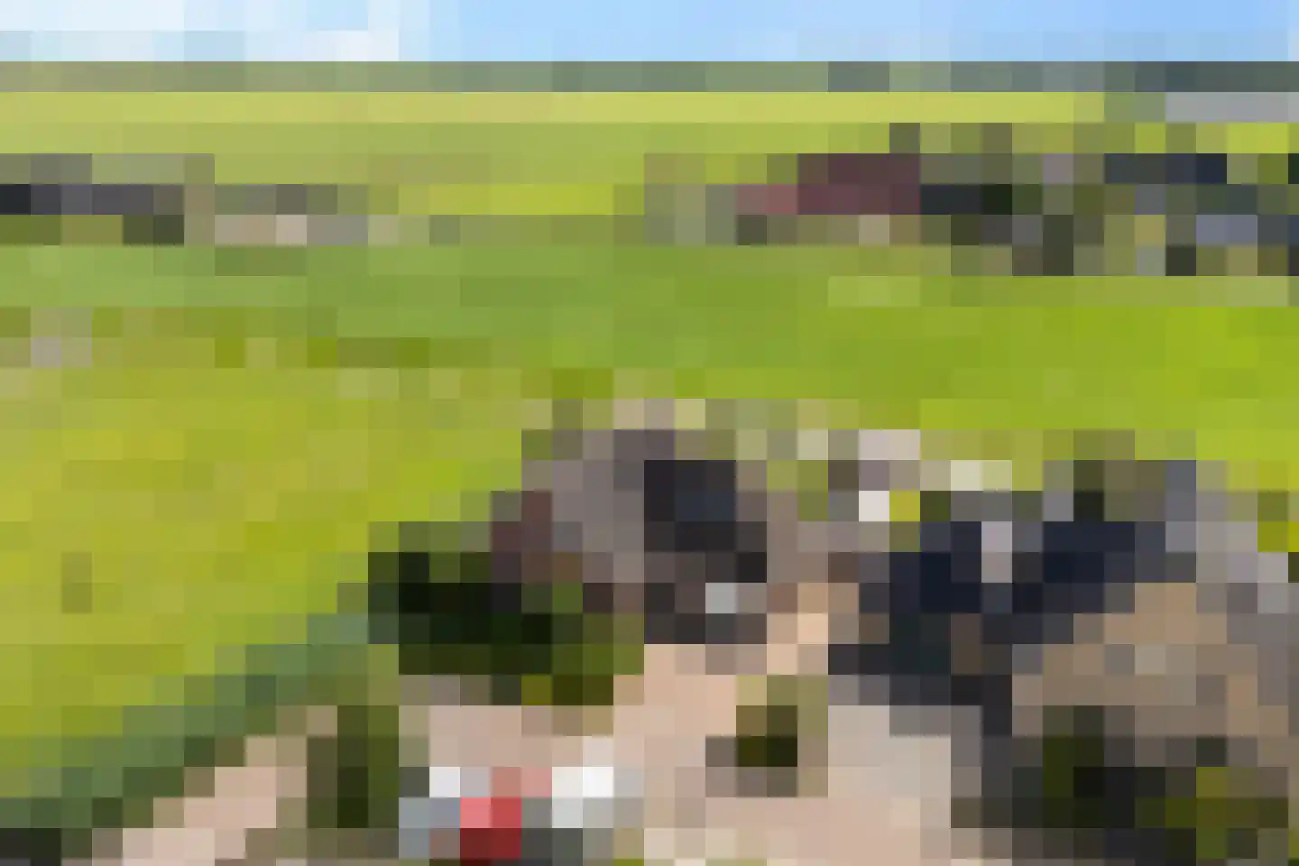 Tsjemlân 18 Gauw thumbnail 40