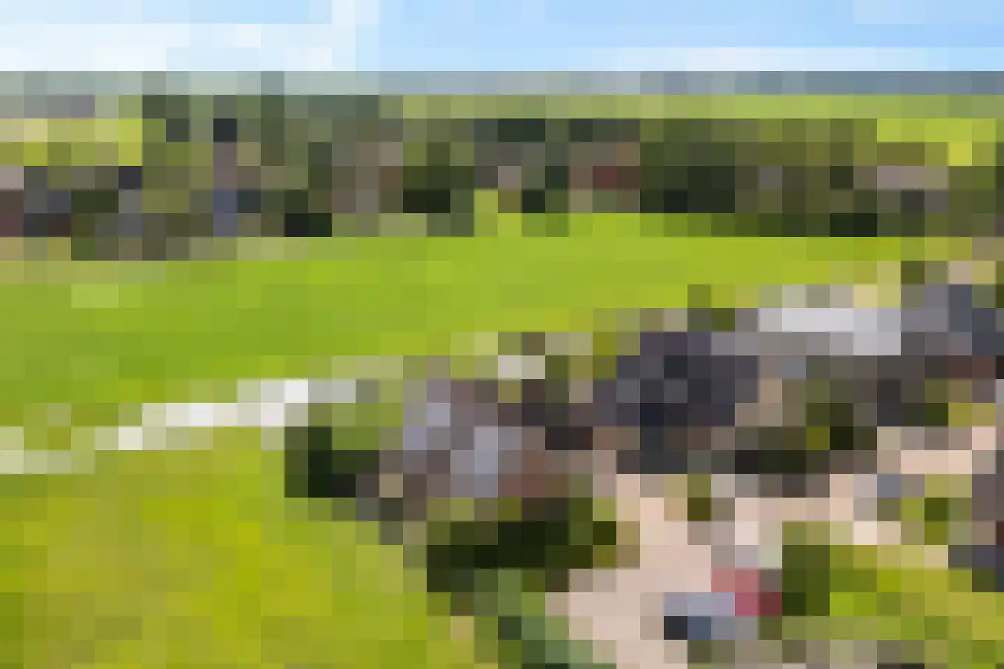 Tsjemlân 18 Gauw thumbnail 44