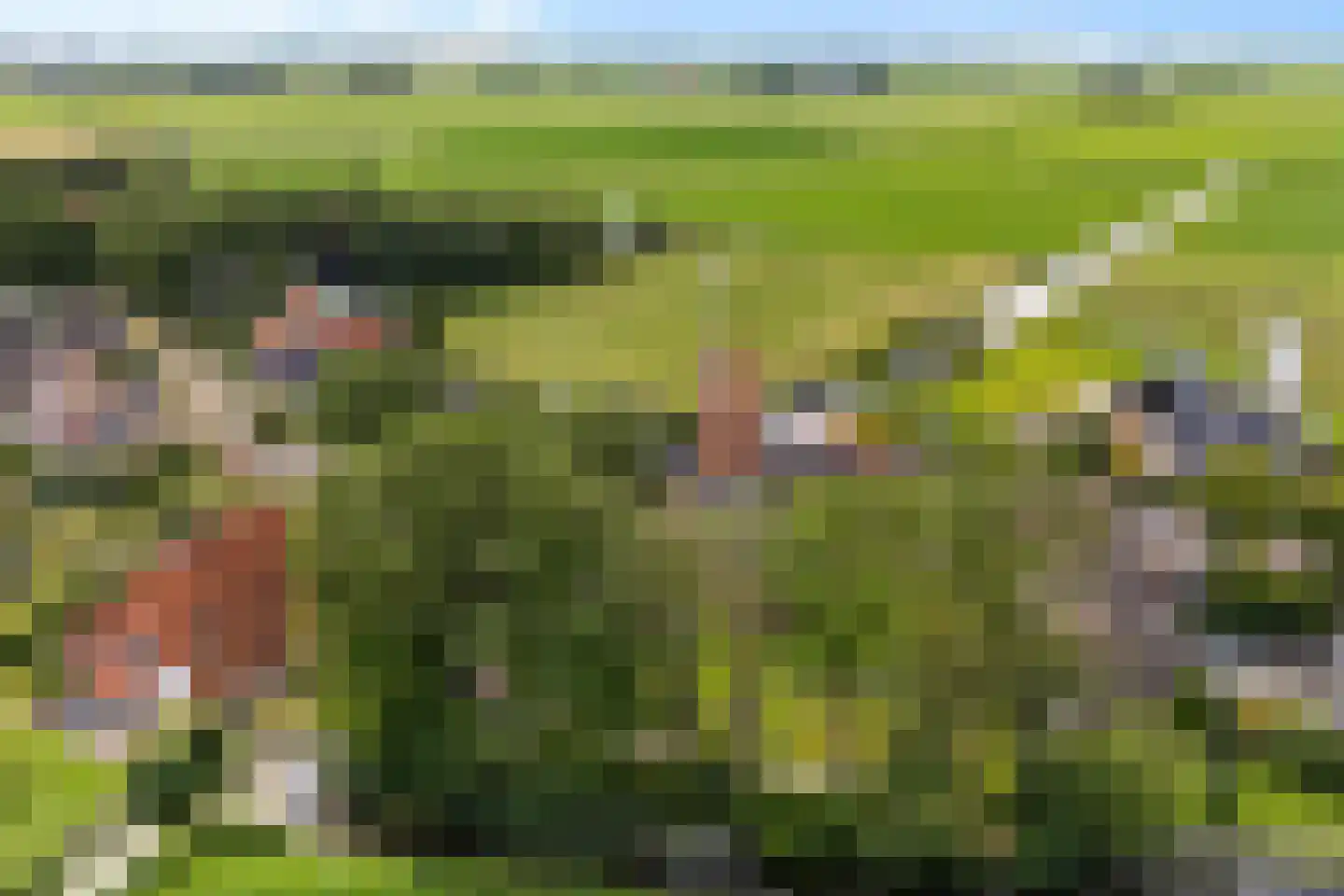 Tsjemlân 18 Gauw thumbnail 47