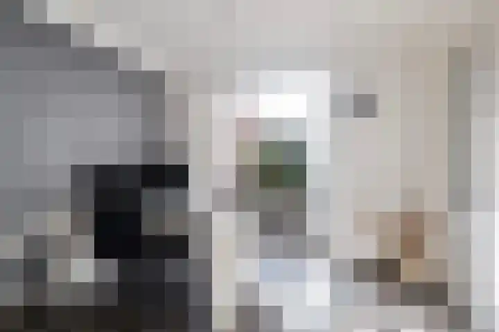 Tsjerk Hiddesstrjitte 24 Kootstertille thumbnail 24