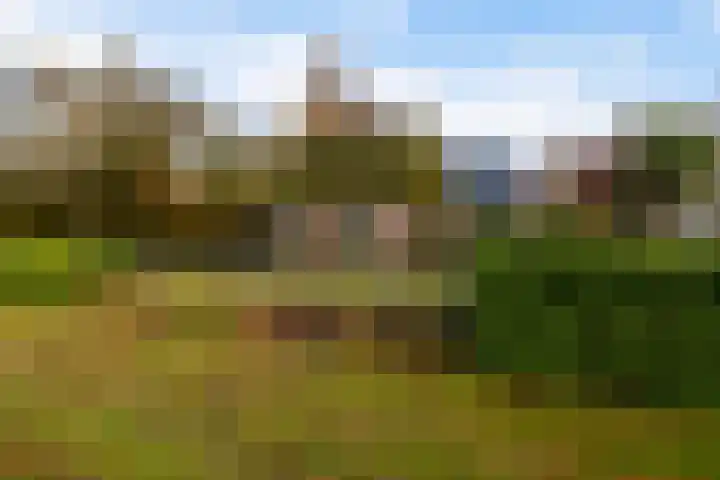 Tsjerk Hiddesstrjitte 24 Kootstertille foto 3