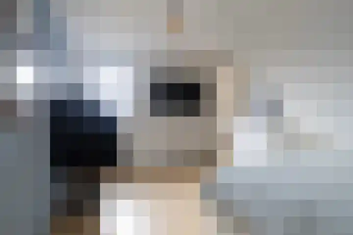 Tsjerk Hiddesstrjitte 24 Kootstertille thumbnail 41
